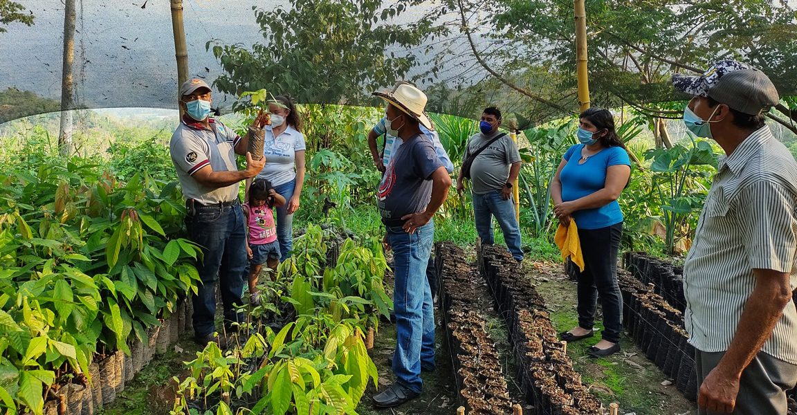 asociaciones-agricolas-apodip